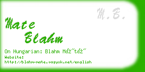 mate blahm business card